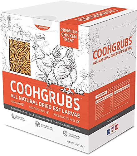 COOHGRUBS All Natural Dried Black Soldier Fly Larvae Chicken Treats, High Protein Calcium Rich BSF Larvae Snacks for Hens Ducks 5-lb