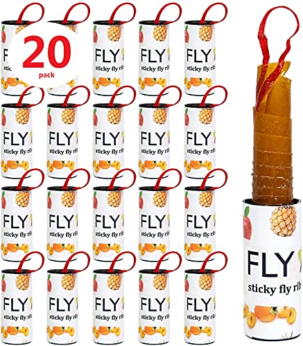 Dwcom 20PCS Fruit Sticky Fly Traps, Fly Ribbon, Fly Tape Fly Strips Paper Fly Catcher Gnat Mosquito for Indoors and Outdoors