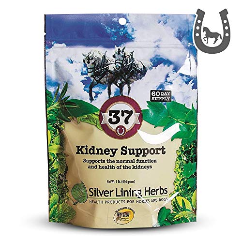 Silver Lining Herbs Equine 37 Kidney Support - Herbal Horse Supplement - Natural Support Blend for Normal Kidney & Bladder Function - 1 lb Bag