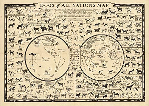 Vintage Illustrated World Map with Dog breeds of Nations CANVAS PRINT'' Paintings Oil Painting Original Drawing Poster Photo Wall Art Animals Animal IXMAH (20x28inch NO Framed)